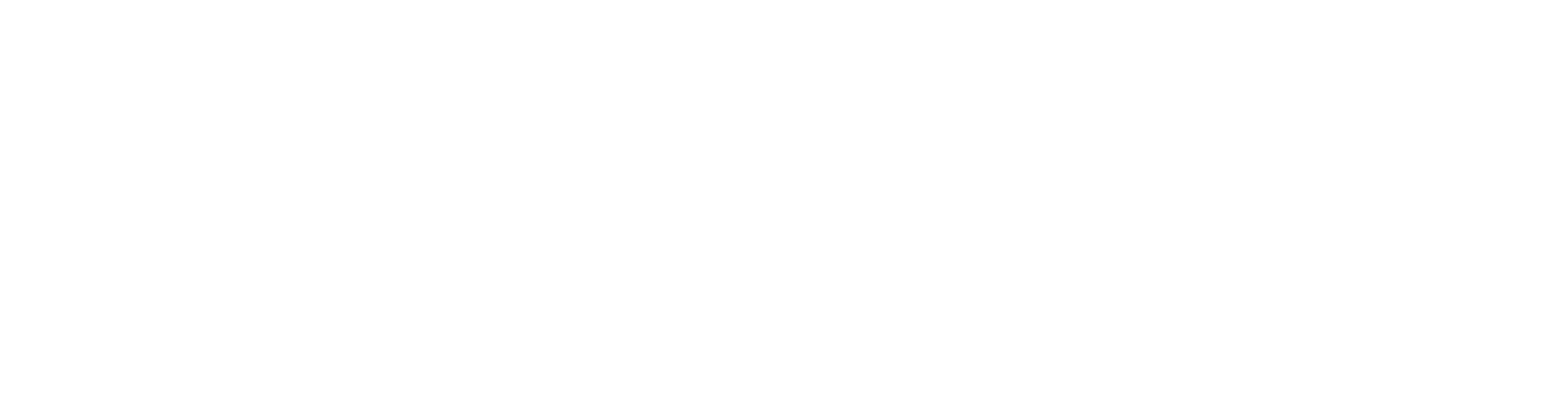 31Wholistic